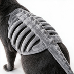 Dinosaur skull hood and soft fabric teeth detail