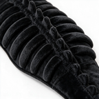 Dimensional ribs spine and tail detail
