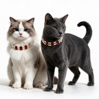 Square-Cut Crystal & Pearl Necklace Collar