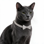 Crystal Bow Pet Collar & Necklace Set