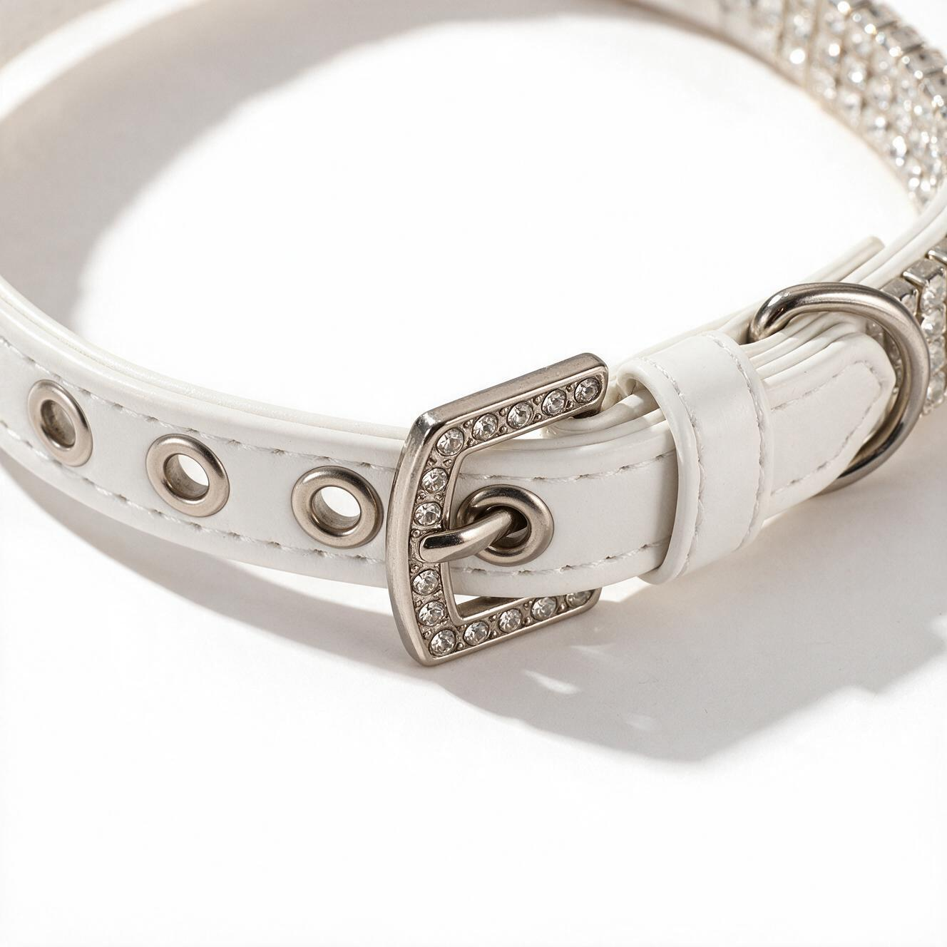 Adjustable buckle and D-ring detail