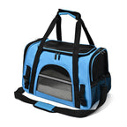 Blue pet travel carrier